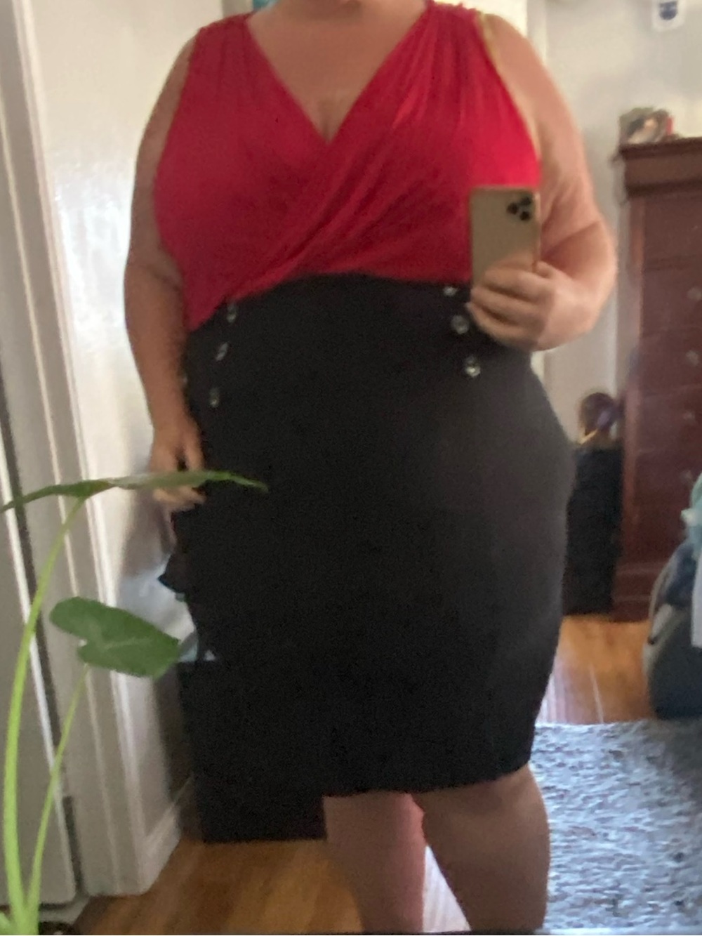 Retro Chic Size 6 Red and Black Dress